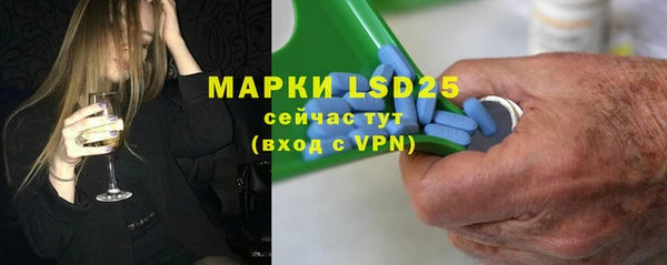 a pvp Бородино