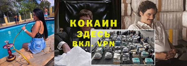 a pvp Бородино